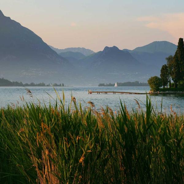 Sapun lavanda i ovsene pahuljice